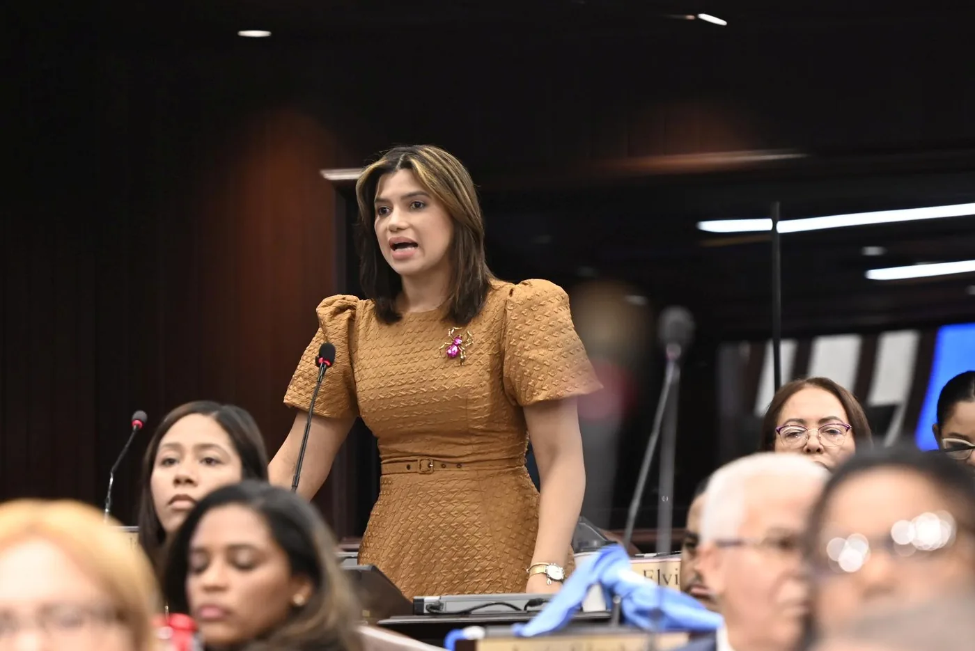Kinsberly Taveras durante una sesión legislativa